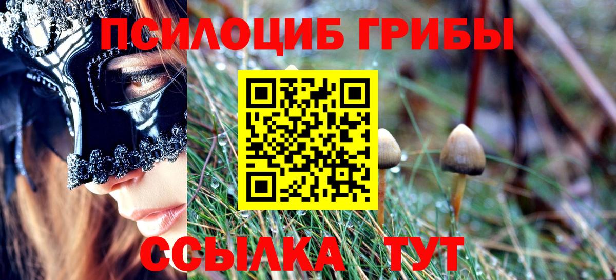 Галлюциногенные грибы ЛСД  Псилоцибиновые грибы мицелий  Михайловск  Вход с VPN 